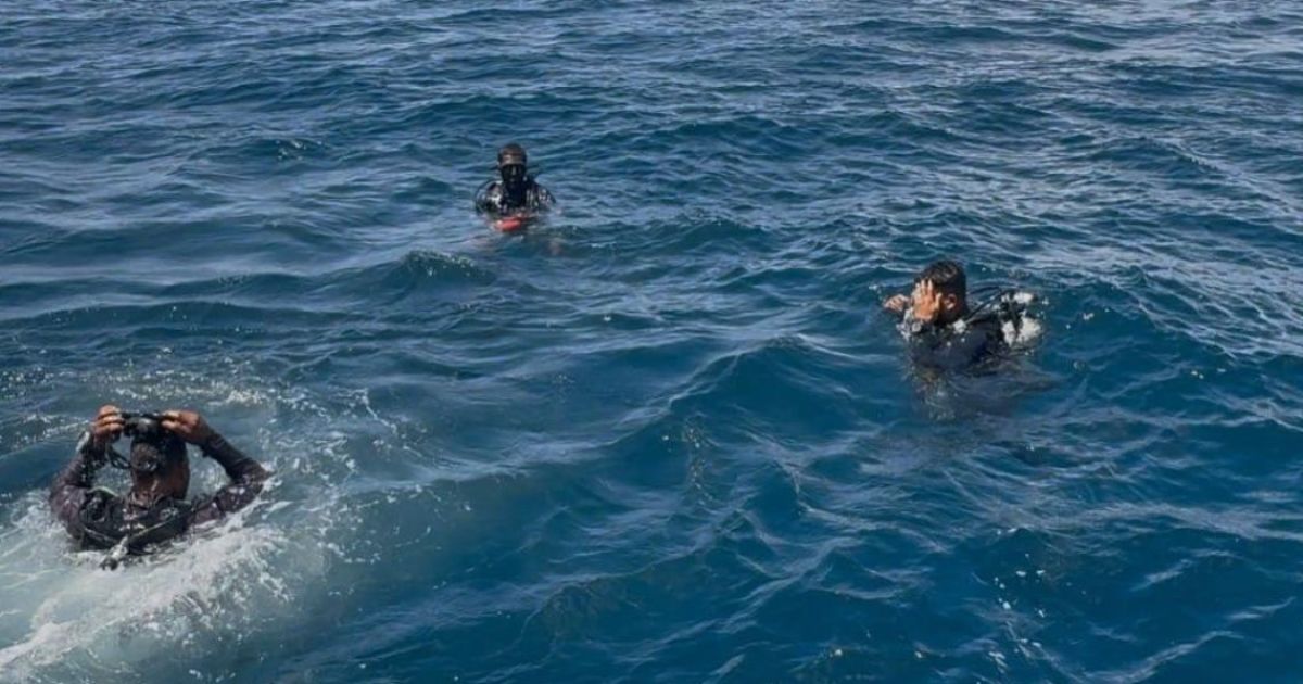ޑައިވިނަށް ދިޔަ ޖަޕާނުގެ ޓޫރިސްޓަކު މަރުވެއްޖެ