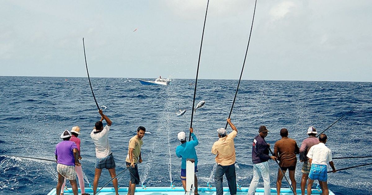 މިމަހު މަސްވެރިންނަށް 25 މިލިޔަން ރުފިޔާ ދޫކޮށްފި