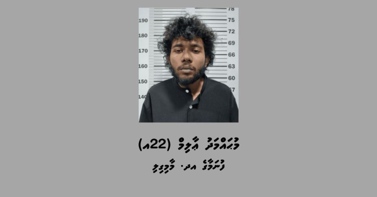 ގިނަޢަދަދެއްގެ މަސްތުވާތަކެއްޗާއެކު ހުޅުމާލެއިން މާމިގިލީ މީހަކު ހައްޔަރުކޮށްފި