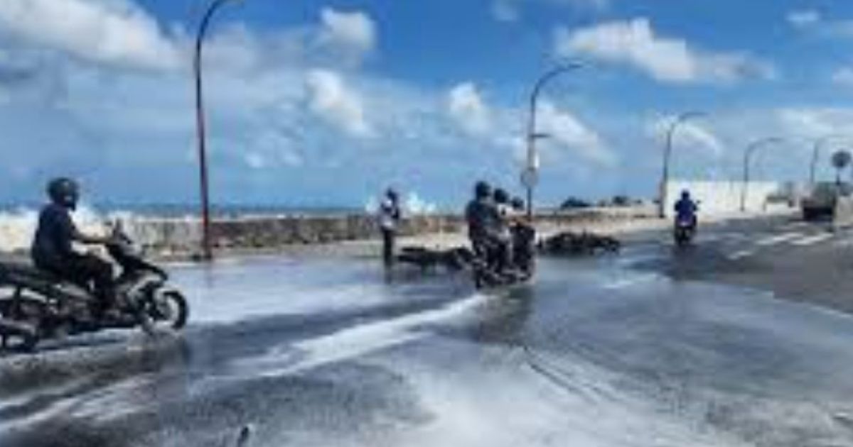 އުދައިގެ ބިރުވެރިކަން އޮތުމުން ސަމާލުވުމަށް އިލްތިމާސްކޮށްފި