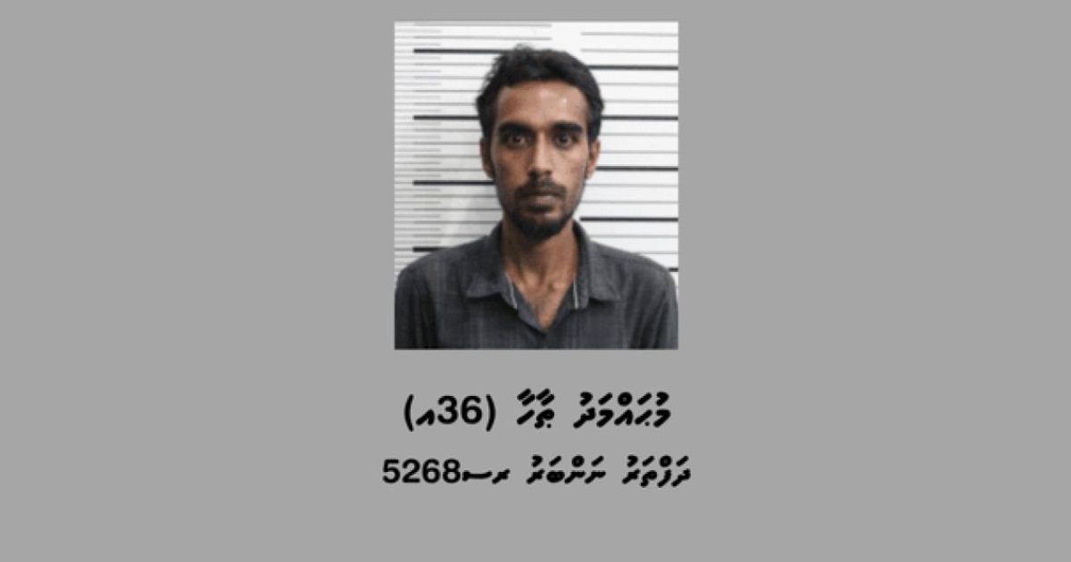 ކޮލަމާފުއްޓަށް މަސްތުވާތަކެތި އެތެރެކުރަން އުޅުނު މީހަކު ހައްޔަރުކޮށްފި