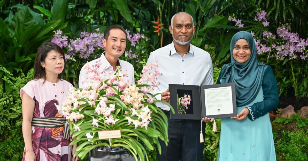 ރައީސްގެ ދެކަނބަލުންގެ ނަންފުޅުން އޯކިޑް ގަހަކަށް ނަންދީފި