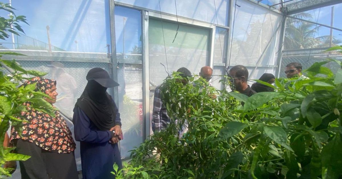 އުތުރުގެ 12 ރަށެއްގައި ގްރީން ހައުސް ހަދައިފި