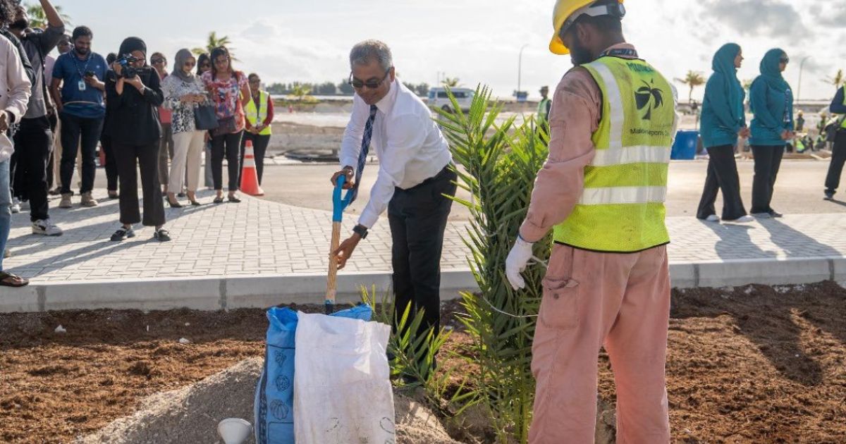 އެމްއޭސީއެލުން ފަސް މިލިއަން ގަސް ޕްރޮގްރާމްގައި ބައިވެރިވެއްޖެ