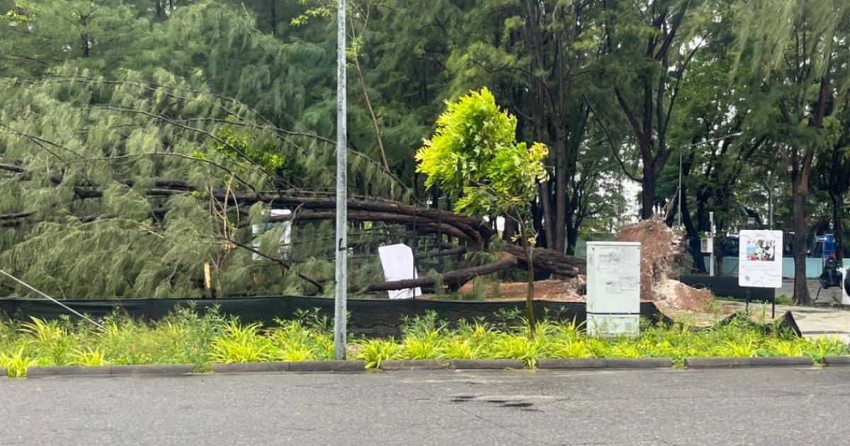 ގަދަ ވަޔާއެކު މާލެއާއި ހުޅުމާލެއަށް ބޮޑެތި ގެެއްލުންތަކެއް!