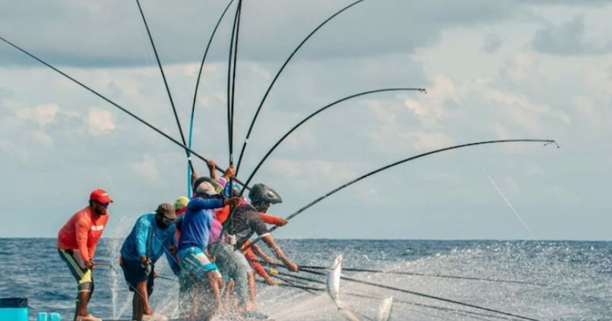 މަސްވެރިކަމުގައި ޒުވާނުންގެ ބައޮިވެރިވުން އިތުރުކުރުމަށް މަސައްކަތް ކުރަނީ
