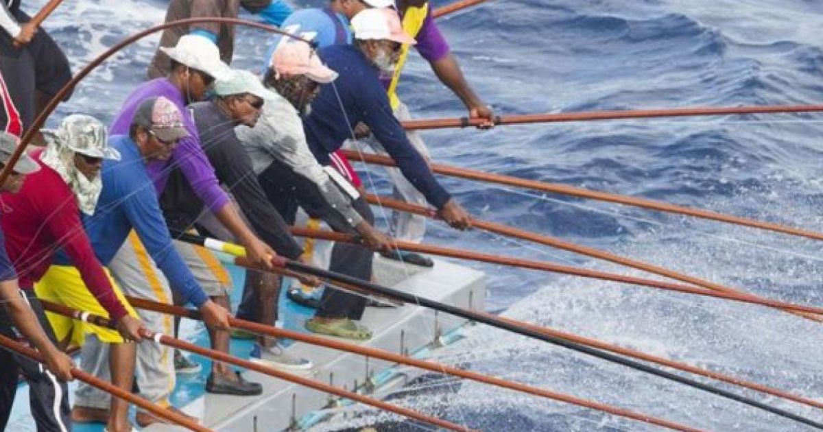 މަސްވެރިކަމުގެ ތަމްރީނު ޕްރޮގްރާމެއް ބާއްވަނީ