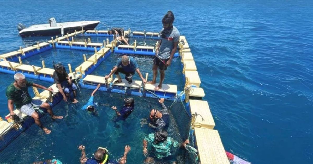 މެރިން ހެޗަރީ ސްކިލސް ޑިވެލޮޕްމަންޓް ޕްރޮގްރާމެއް ބާއްވަނީ