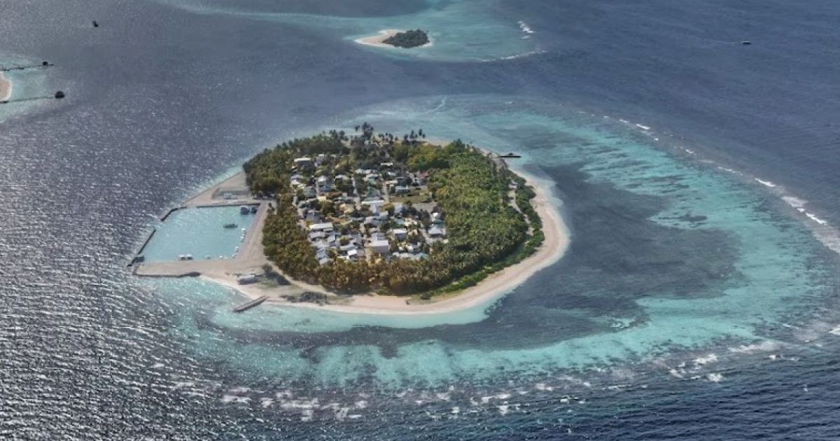 ދޮންފަނު ސަރަހައްދުގައި ފީނައި ޑައިވްކުރުން ވަގުތީގޮތުން މަނާކޮށްފި
