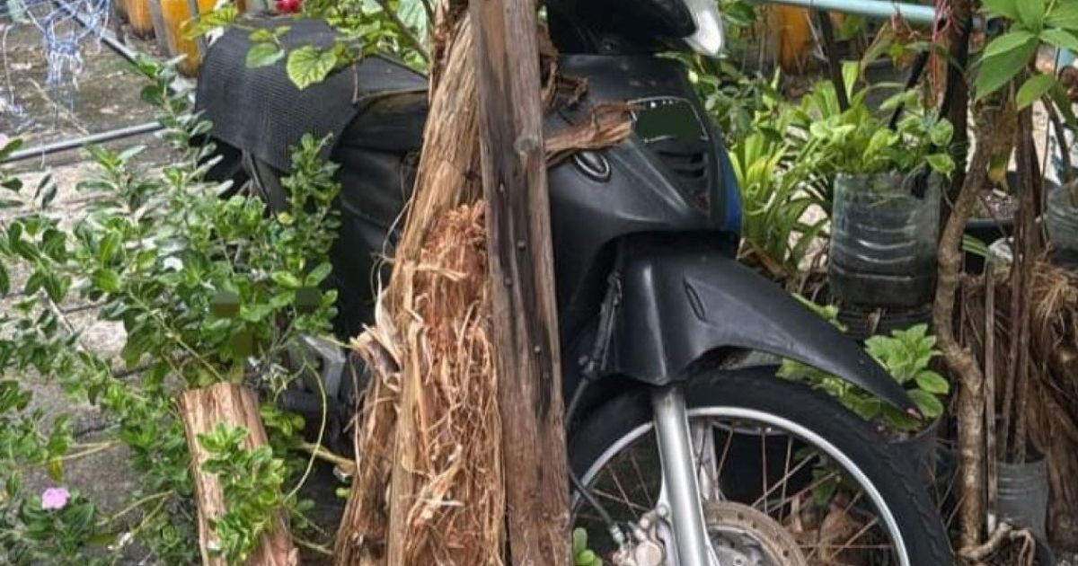 ހުޅުމާލޭގައި ހަލާކުވެފައިވާ އުޅަނދުތަކުގެ މައުލާތު އެއްކުރަން ފަށައިފި