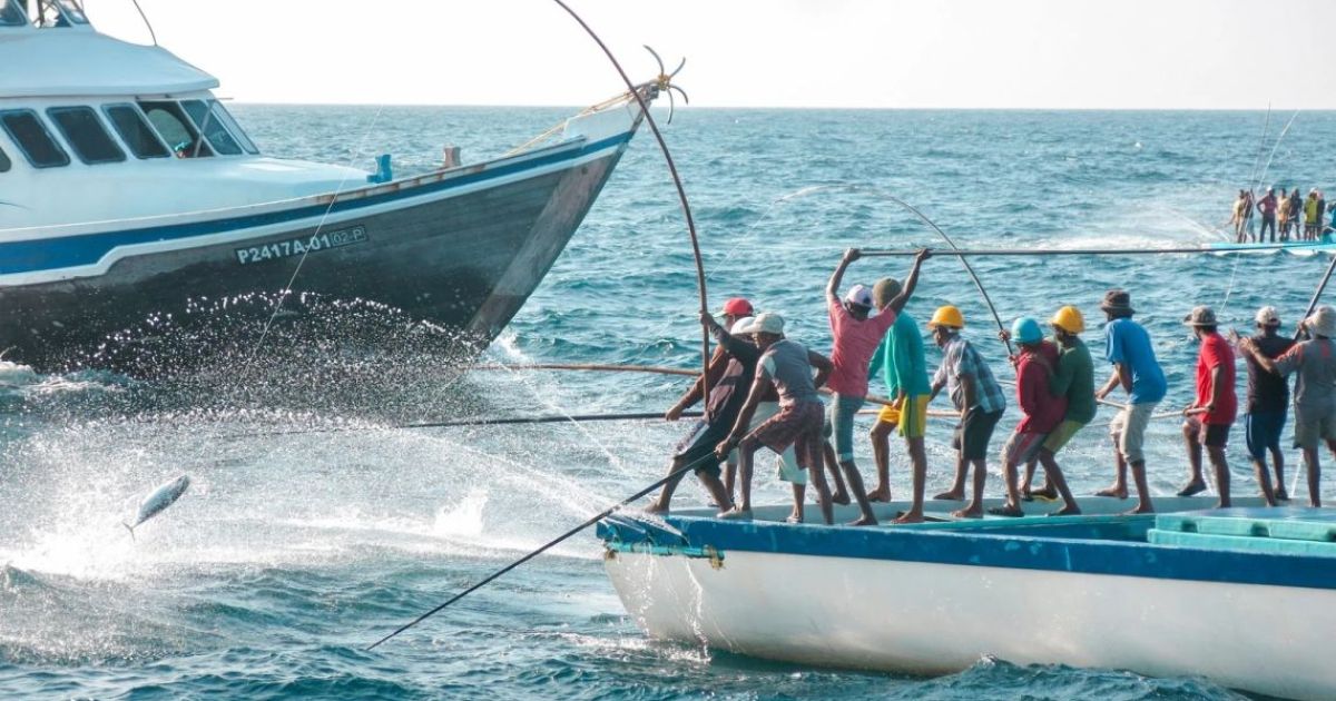 މަސްވެރިކަން ކުރިއަރުވަން ހާއްސަ ޕްރޮގްރާމެއް ފަށައިފި