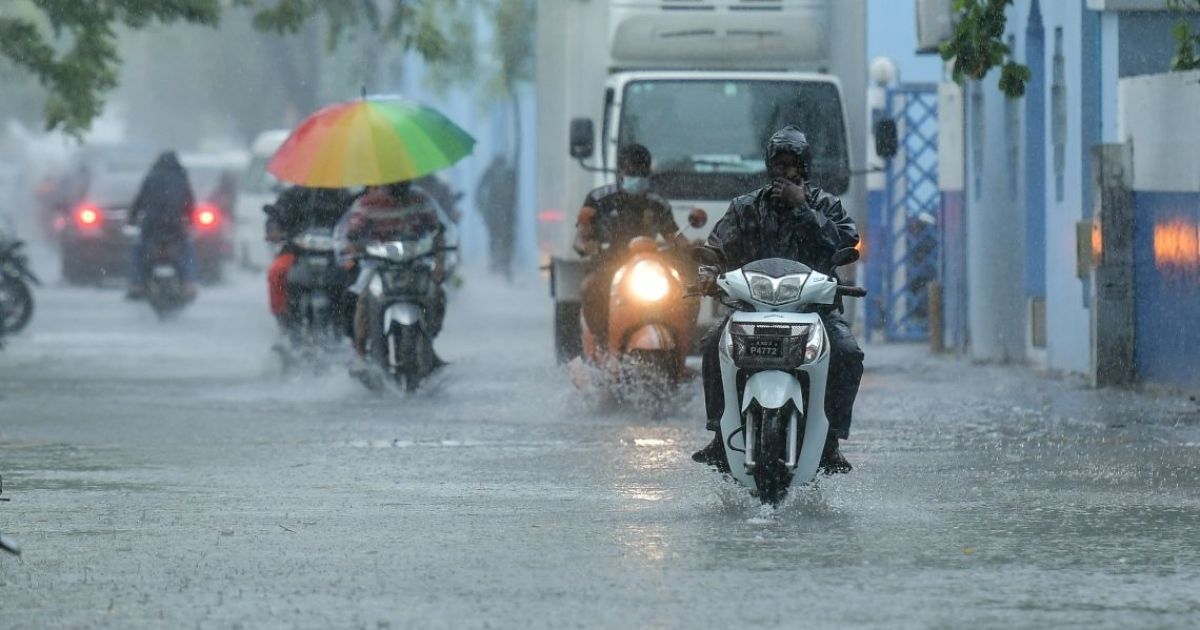 ރާއްޖޭގެ ބޮޑުބަޔަކަށް ރީނދޫ ސަމާލު ނެރެފި