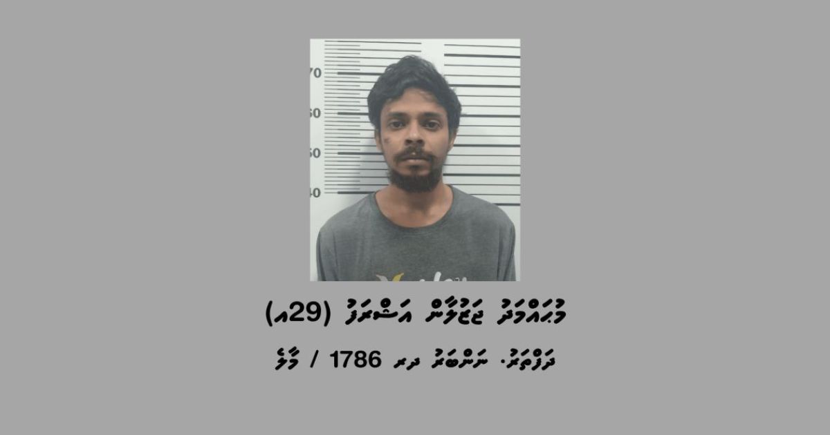 އެޕާޓްމަންޓެއް ބަލައި ފާސްކުރިއިރު 17 ކިލޯގެ މަސްތުވާތަކެތި!