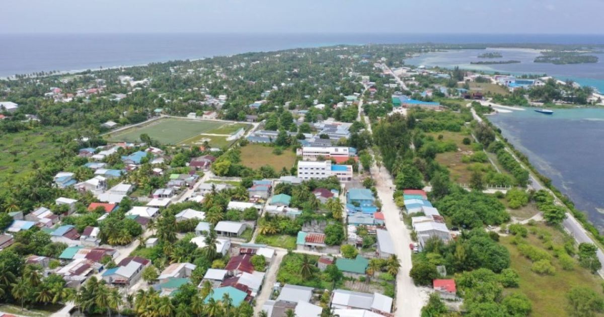 މަސްތުވާތަކެތީގެ ވިޔަފާރިކުރާ ބޮޑުންތަކެއް އައްޑޫ ސިޓީން ހައްޔަރުކޮށްފި