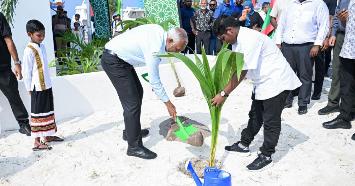 ރައީސްގެ ދެކަނބަލުން ދުވާފަރުގައި ރުއް އިންދައިދެއްވައިފި