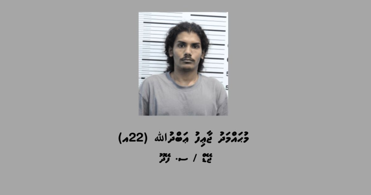 މަސްތުވާތަކެއްޗާއި ގިނަ އަދަދެއްގެ ފައިސާއާއެކު މީހަކު ހައްޔަރުކޮށްފި