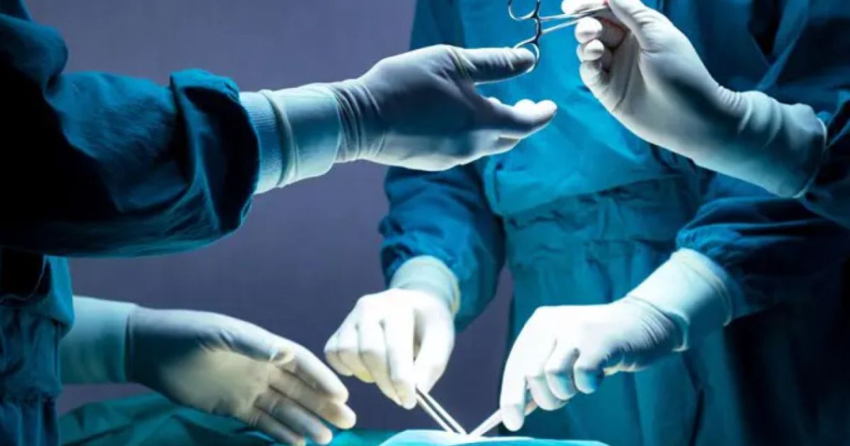 އިސްރާއީލުން ރެކޯޑް ޢަދަދަކަށް ގުނަވަންތަކެއް ހަދިޔާ ކޮށްފި! މިއީ ކޮންހާ ބައިވަރު ގުނަވަންތަކެއްބާ؟