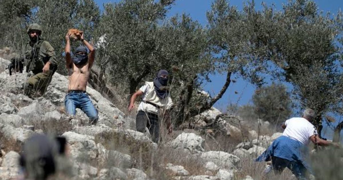 ޔަހޫދީން ނުކުމެ ފަލަސްޠީނުގެ ޒައިތޫނިގަސްތައް ކަނޑައި ވިހަ އަޅަނީ