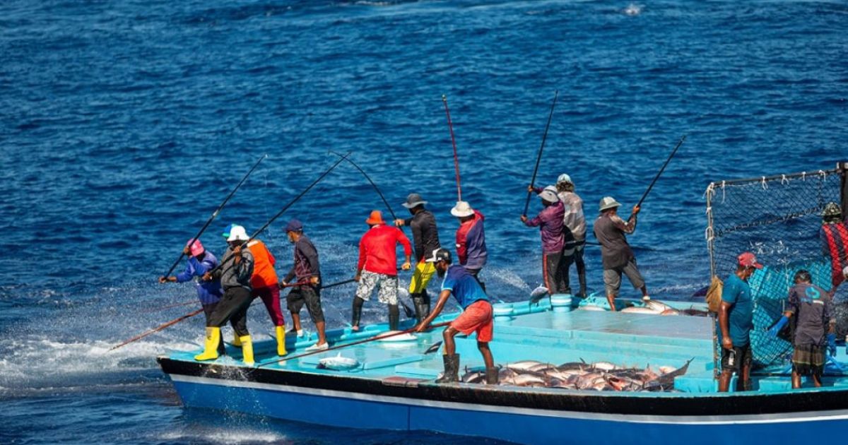 މަހުގެ އެކްސްޕޯޓުން ދައުލަތަށް 123 މިލިއަން ޑޮލަރުގެ އާމްދަނީއެއް