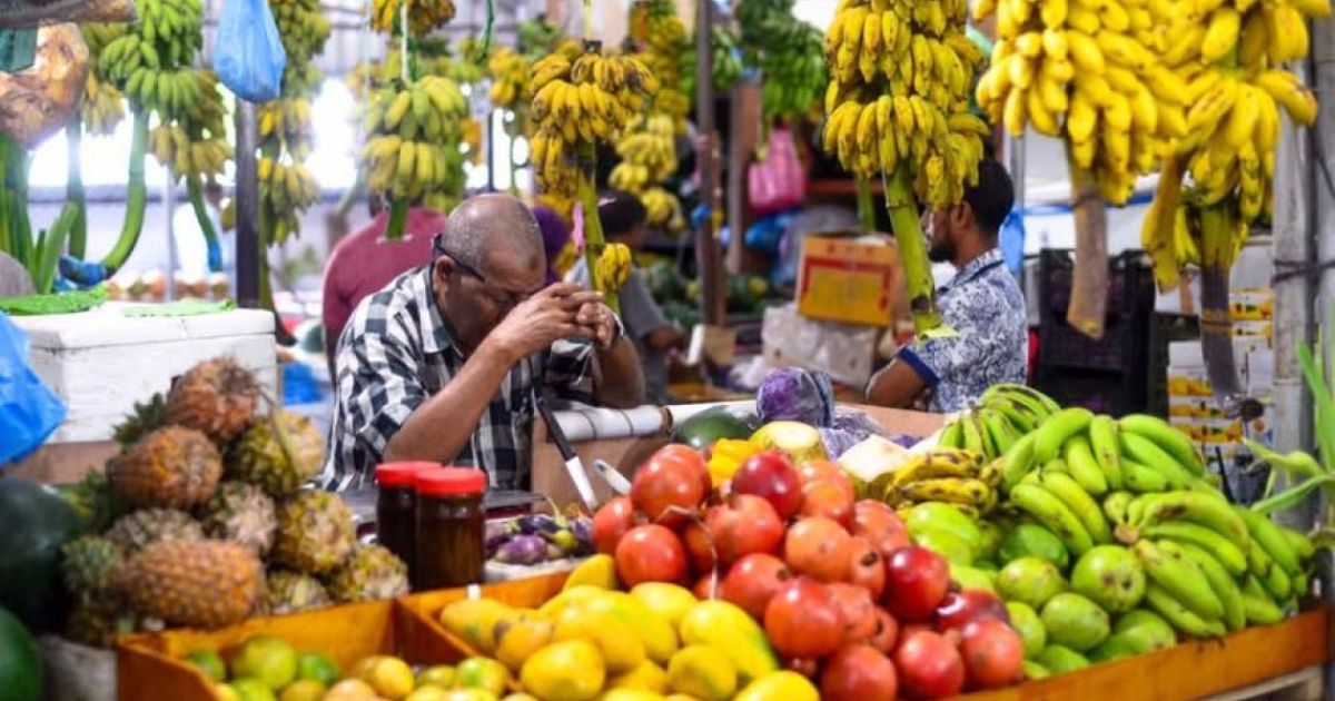 ނޯތު ހާބަރުގައި ހަދާ ވަގުތީ މާރުކޭޓް އަންގާރަ ދުވަހު ހުޅުވަނީ