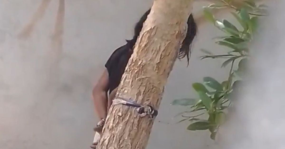 ކުޑަކުއްޖަކު ގަހެއްގައި ބަނދެ އަނިޔާކުރި މައްސަލައެއް ބަލަނީ