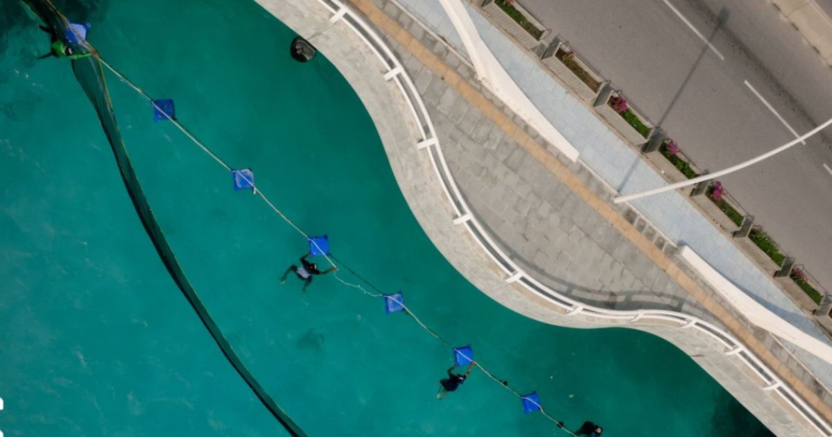 ޗެނަލަށް ޖަމާވާ ކުނީގެ މައްސަލަ ހައްލުކުރަން ފަށައިފި