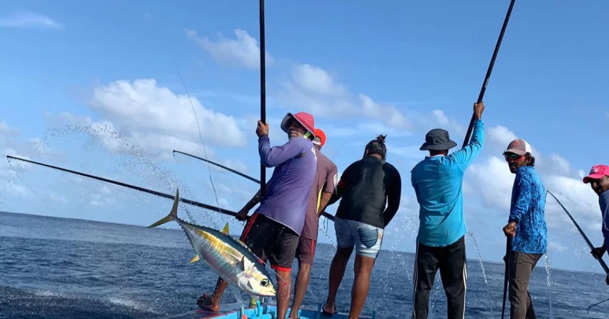 ޓެރިފް ކަނޑާލުމުން އެމް.އެސް.ޕީ.އީ.އޭ އިން މަރުހަބާ ކިޔައިފި
