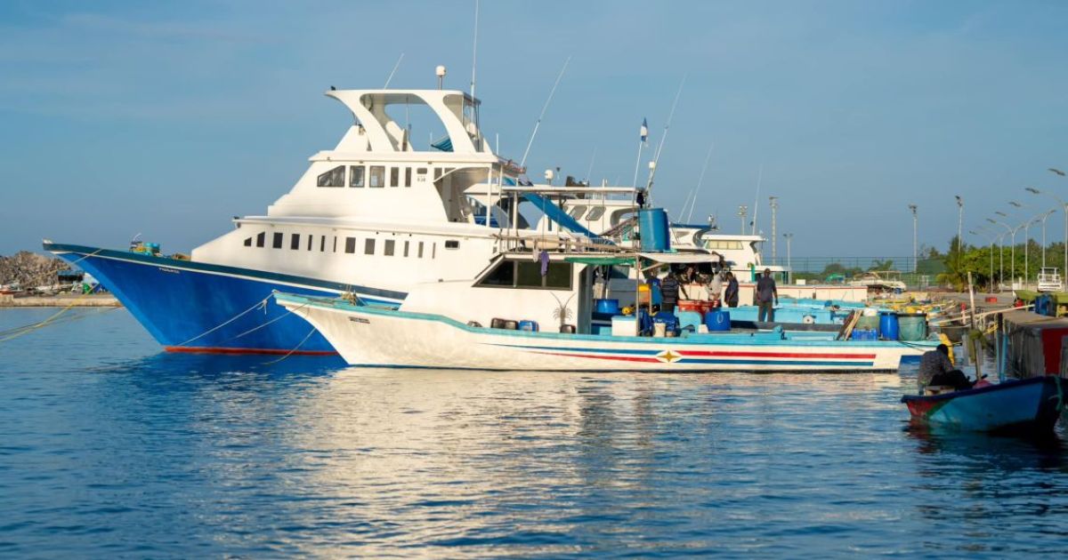 ގދ. ތިނަދޫއިން ވެސް މިހާރު މަސްވެރިންނަށް ހެޔޮ އަގުގައި ތެޔޮ ލިބޭނެ