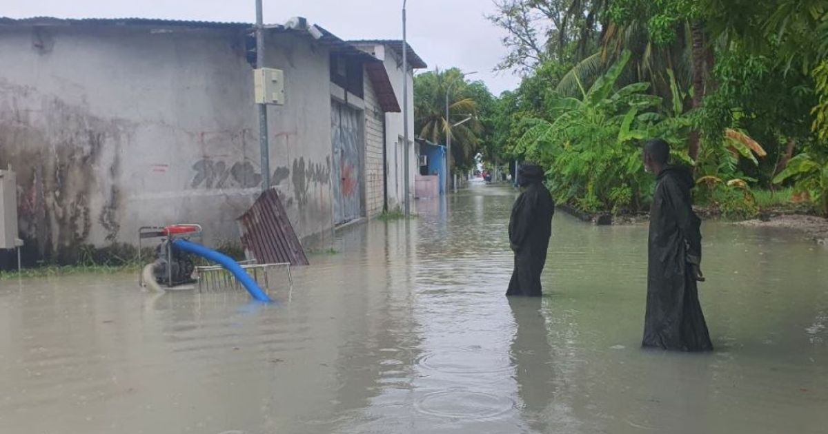 ވިއްސާރަވެ މޫސުން ގޯސްވަނީ: އަންނަ ބުދައަށް މޫސުމަށް ސަމާލުވާން އިލްތިމާސްކޮށްފި