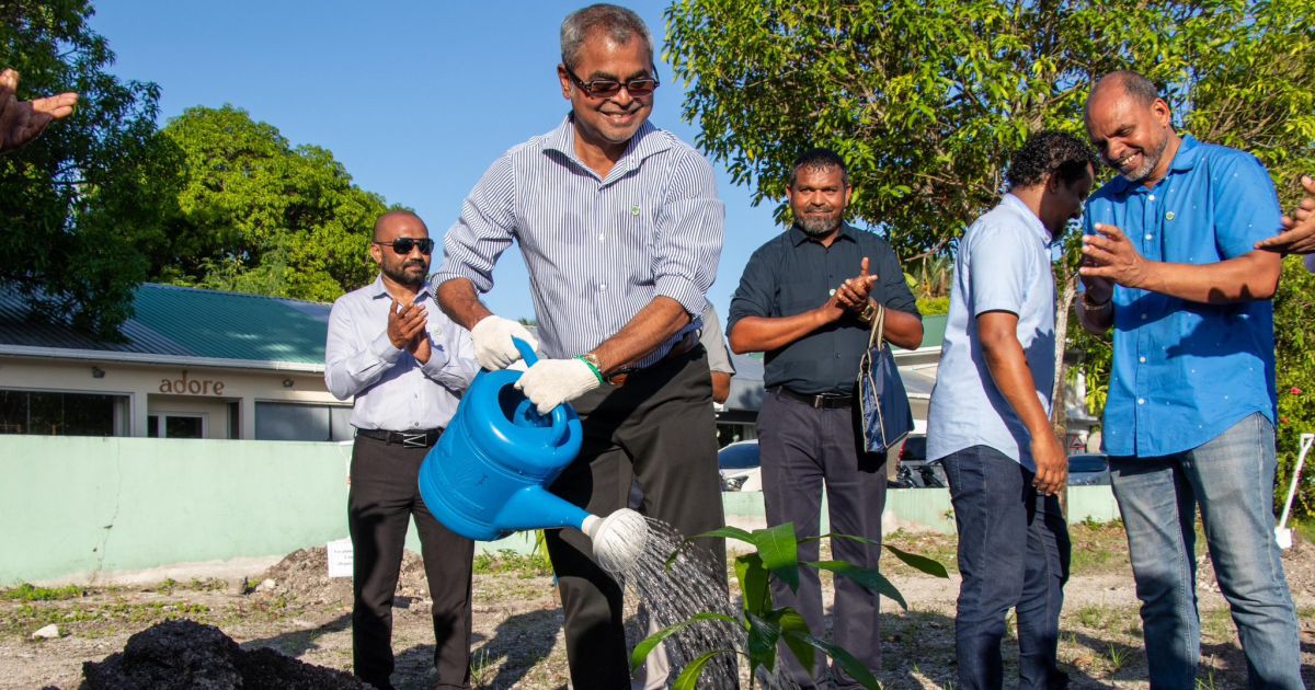 ފަސް މިލިއަން ގަސް އިންދުމުގެ މަޝްރޫޢުގެ ދަށުން މިއަދާހަމައަށް 4 ލައްކަ ގަސް އިންދައިފި