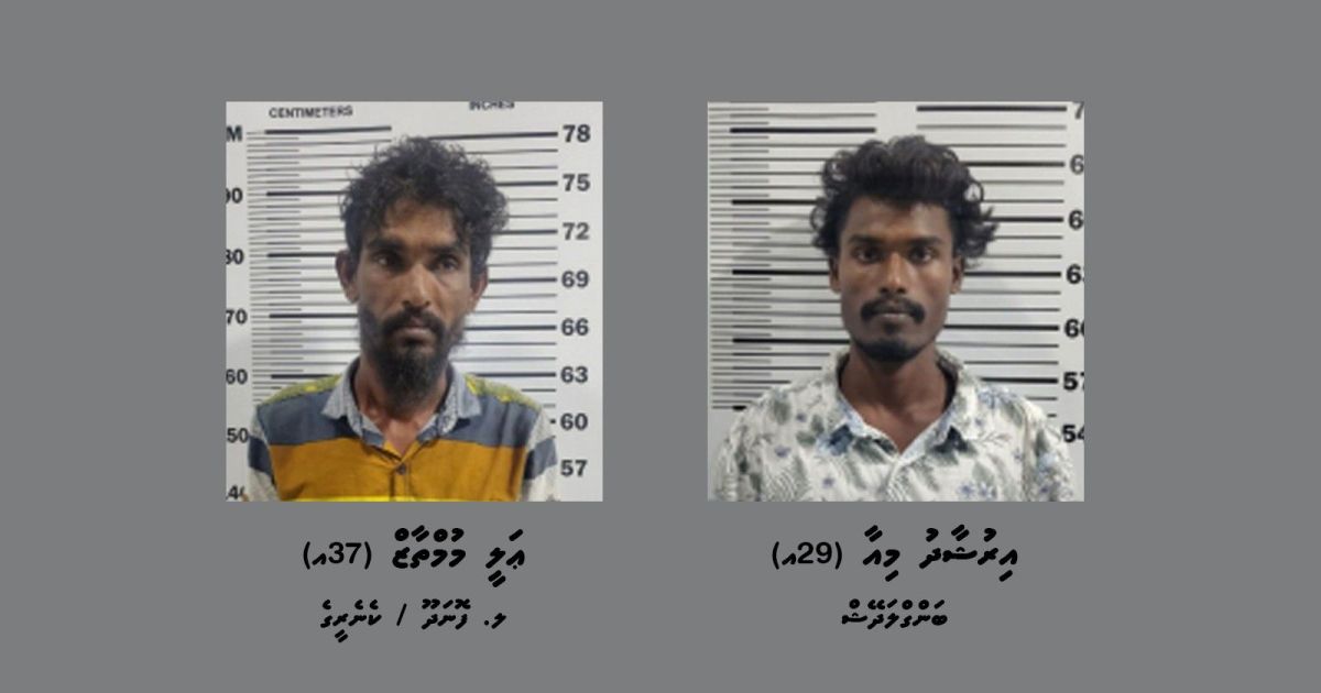 ވިލިނގިއްޔަށް މަސްތުވާތަކެތި އެތެރެކުރަން އުޅުނު ދެ މީހަކު ހައްޔަރުކޮށްފި