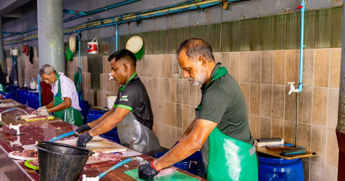 މަސްވެރިންގެ ދަފްތަރުގައި މިހާތަނަށް 200 އުޅަނދު ރަޖިސްޓްރީ ކޮށްފި