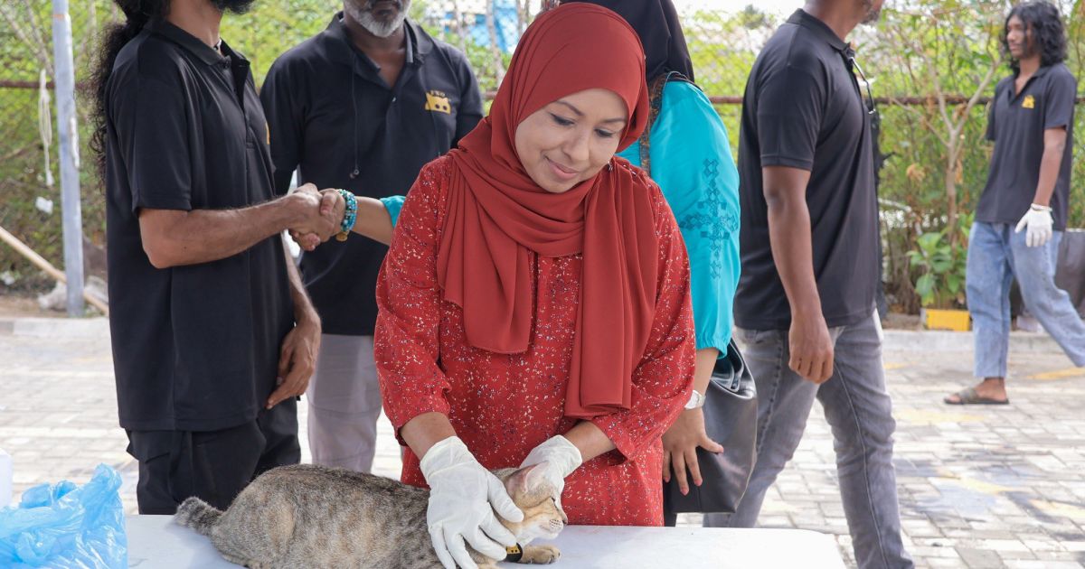 ވަގުތީ ކެޓް ޝެލްޓަރގެ މަސައްކަތް ނިމި މިއަހަރު ހުޅުވޭނެ: ވަޒީރު ރަމީލާ