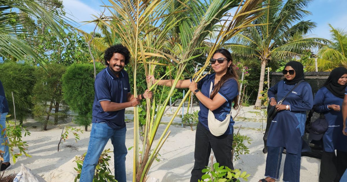 ފަސްމިލިއަން ގަސް އިންދުމުގެ މަޝްރޫޢުގައި މިފްކޯއިން ބައިވެރިވެއްޖެ