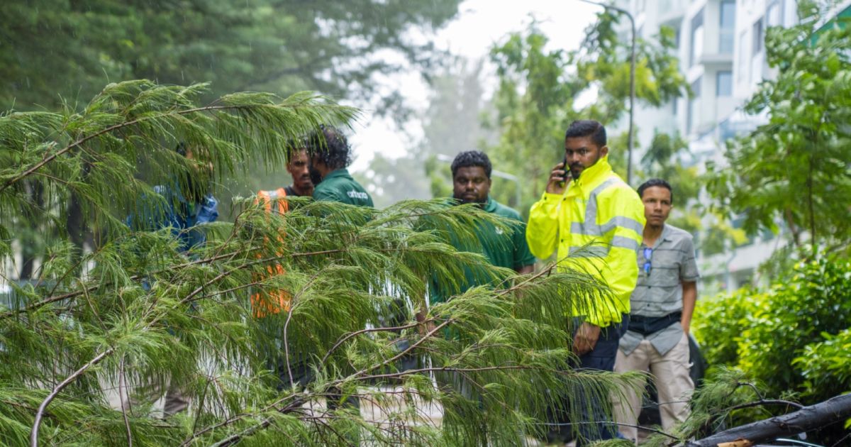 ވިއްސާރައިގައި ހުޅުމާލެ އަށް ގެއްލުންތަކެއް