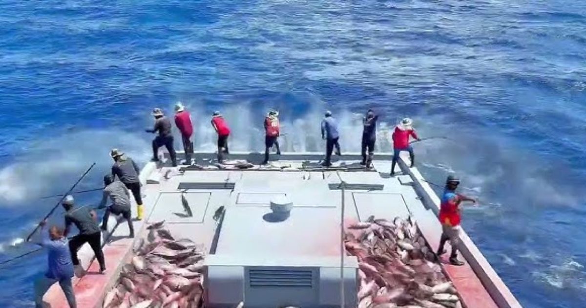 މަސްވެރިންނަށް ދޭން ޖެހޭ ހުރިހާ ފައިސާއެއް ޖަމާކުރަނީ