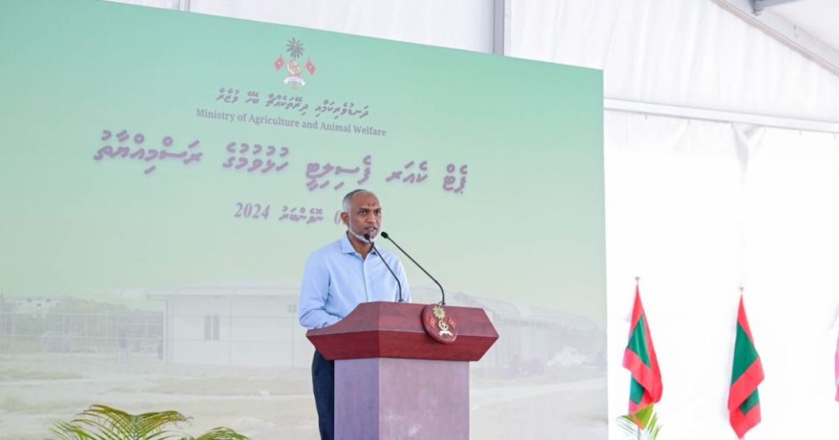ކައުންސިލްތަކަށް އިތުރު ބާރުތަކެއް ދޭން ސަރުކާރުން ނިންމައިފި