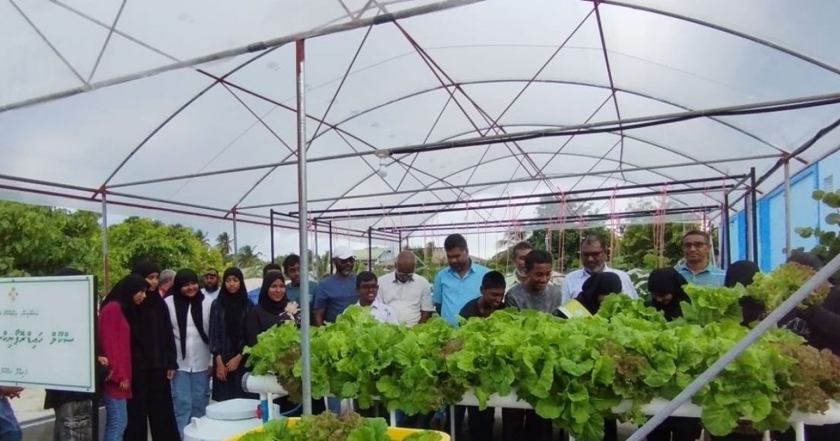 ހަނިމާދޫ ސްކޫލުން ފުރަތަމަ ފަހަރަށް ލެޓިއުސް ކަނޑައިފި