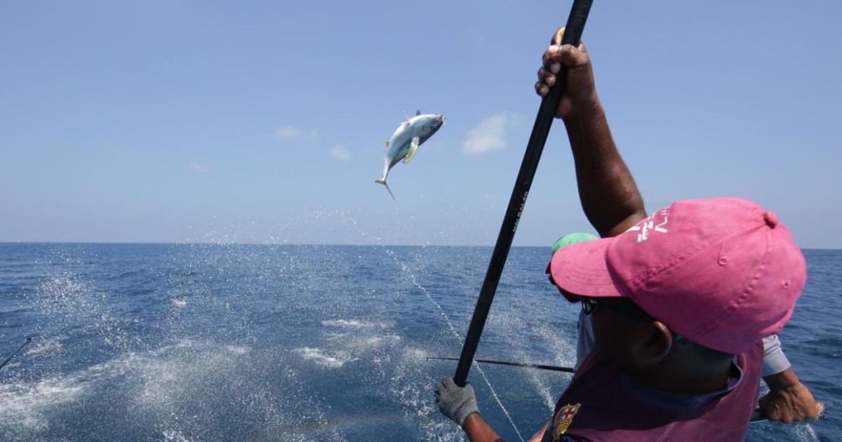 މަސްވެރިންގެ އެވޯޑަށް ކުރިމަތިލުން އިތުރުކޮށްފި