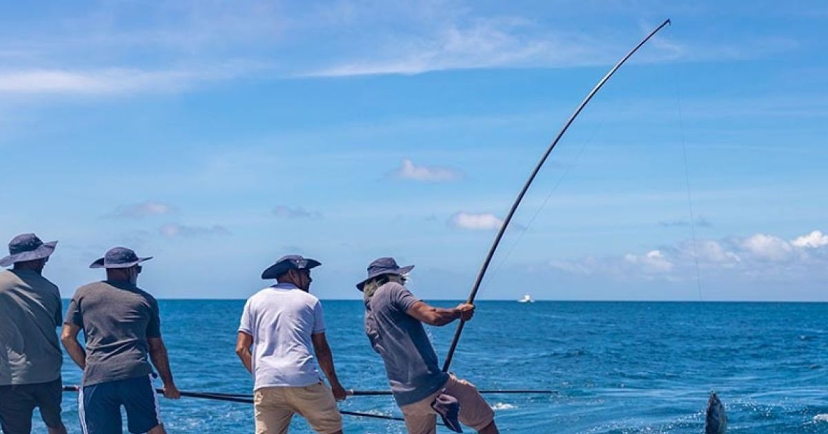 އަށްޑިހަ އިންސައްތަ އުޅަނދު މަސްވެރިންގެ ދަފްތަރުގައި ރަޖިސްޓްރީކޮށްފި