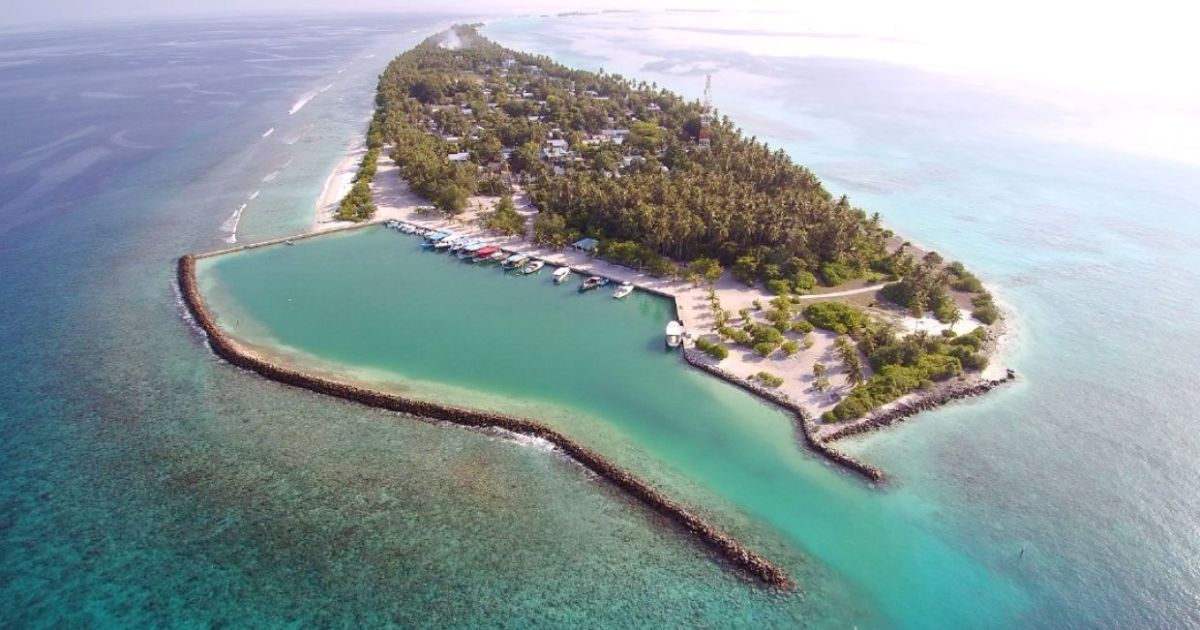 ބުރަފަތީގައި ޖެހި މަރުވި ކުއްޖާގެ މައްސަލަ ބެލުމަށް ޓީމެއް ރާއްޖެއަށް