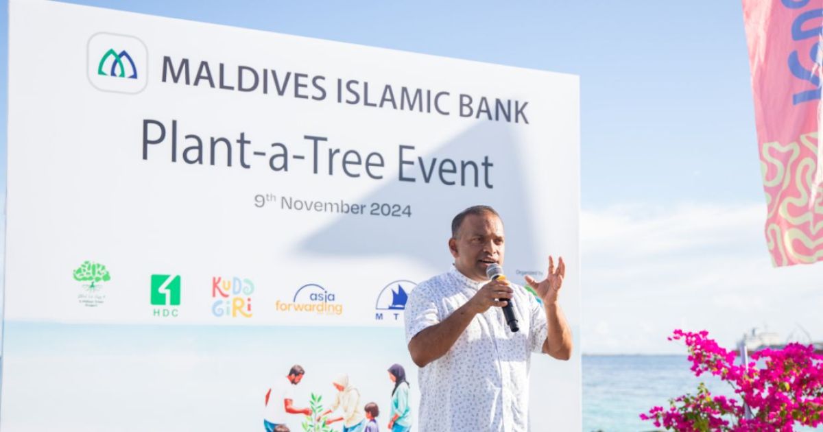 އެމްއައިބީން ކުޑަގިރީގައި 1000 ގަސް އިންދައިފި