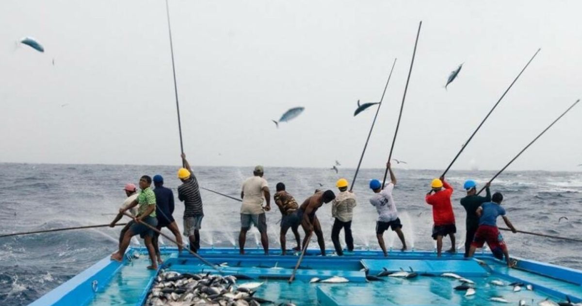 މަސްވެރިކަމާ ބެހޭ މާސްޓަރ ޕްލޭނެއް ހަދަނީ
