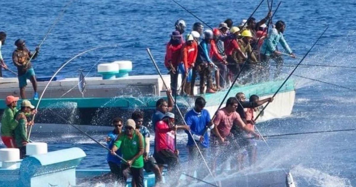 މަސްވެރިންގެ ދަފްތަރުގައި 2,260 މަސްވެރިން ރަޖިސްޓްރީކޮށްފި