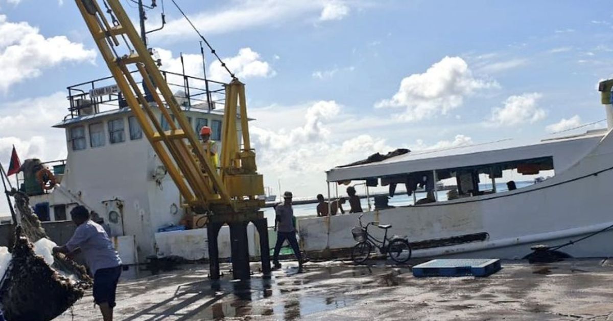 މިފްކޯގެ ދެ ބޯޓެއް ނީލަމުގައި ވިއްކާލަނީ