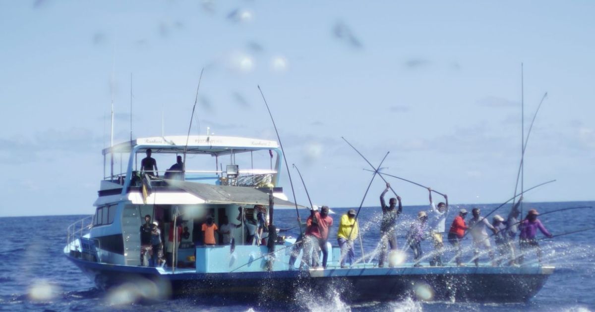 މަސްވެރިންނަށް ނުދެވިހުރި 22 މިލިއަން ރުފިޔާ ޖަމާކޮށްދީފި