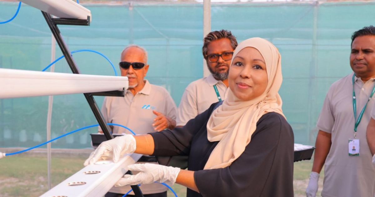 ވާޓިކަލް ފާމިންގެ ޢަމަލީ މަސައްކަތް ފެށެނީ