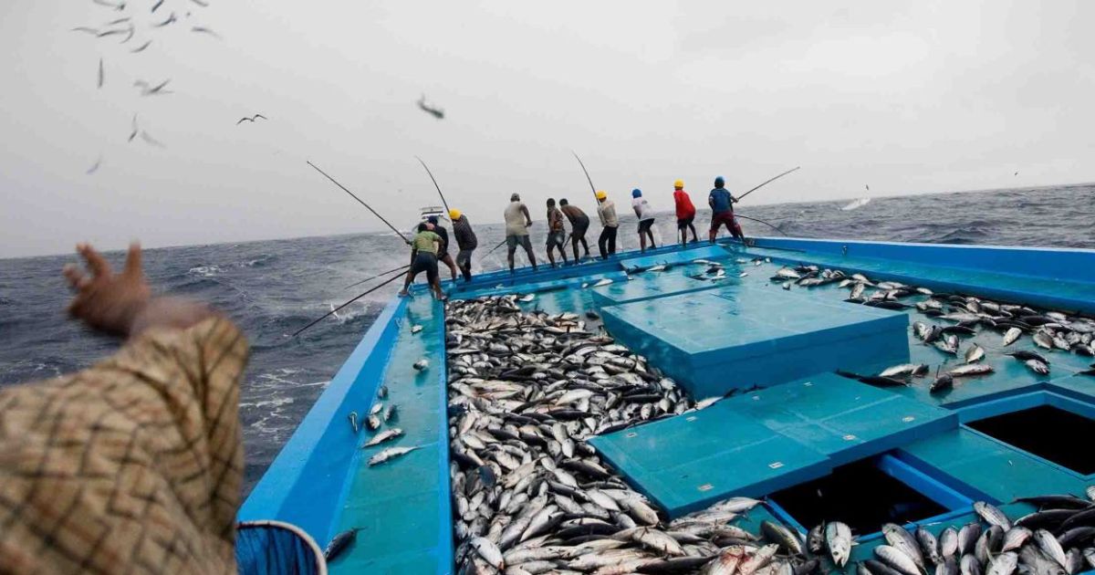 ހުރިހާ މަސްވެރިންނަށް ލޯނު ލިބުމުގެ މަގު ފަހިވެއްޖެ