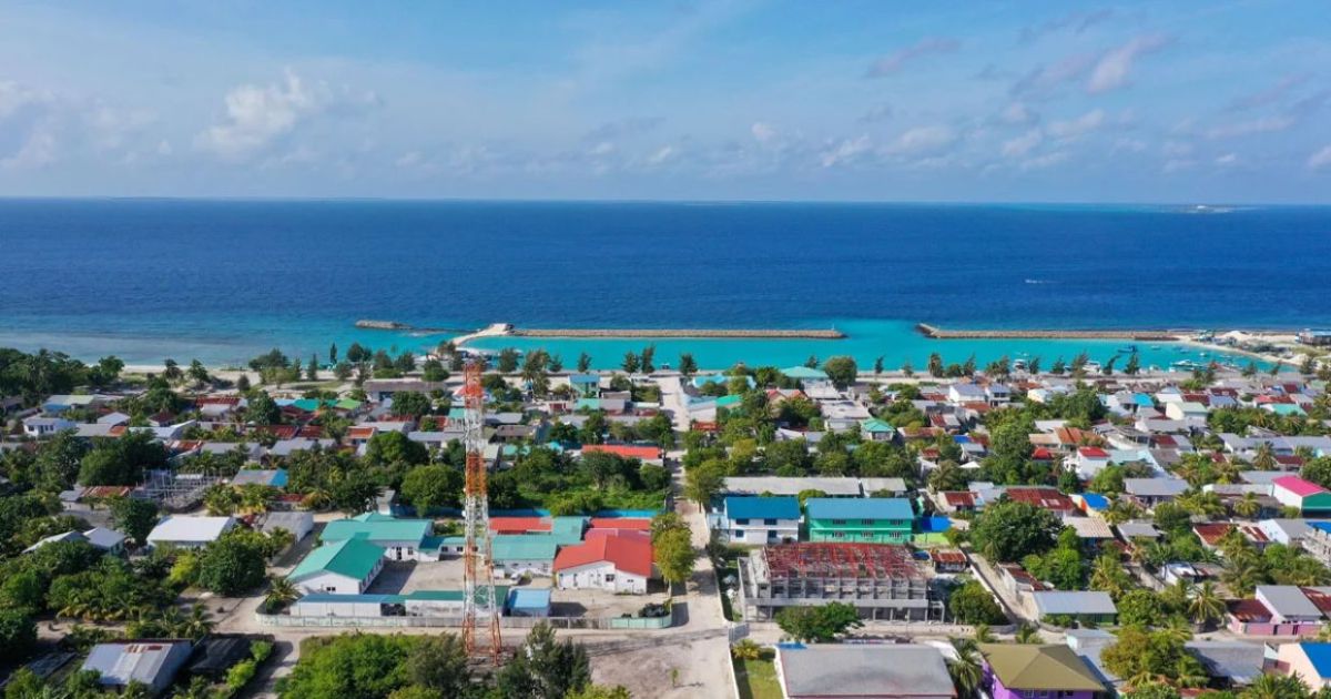 ވައިން ހަކަތަ އުފެއްދުމުގެ މަޝްރޫޢެއް ފަށަނީ