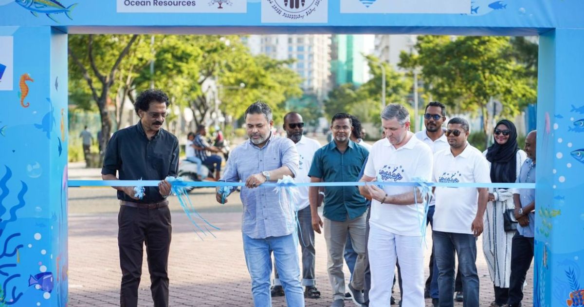 "މަސްވެރިކަމުގެ ދާއިރާގައި އެންމެ މަސައްކަތް ކުރަނީ މިސަރުކާރުން"